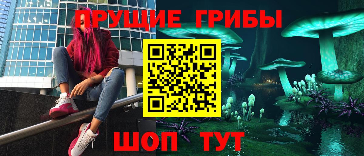 Чебоксары  Галлюциногенные грибы Psilocybine cubensis  Вход с VPN 