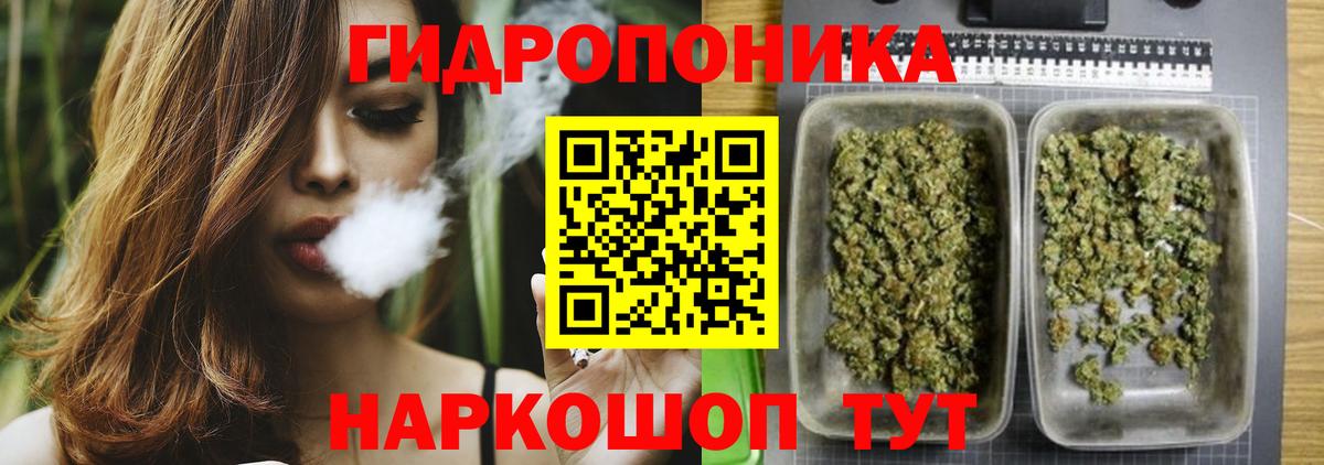 Бошки марихуана гибрид  Вход с VPN  Чебоксары  Каннабис LSD WEED  Конопля марихуана 